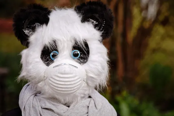 Eight Storm Casino Support